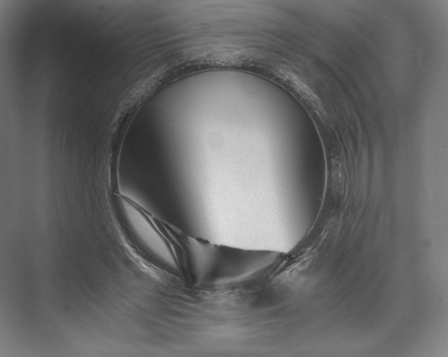 X0000073530493200608141030