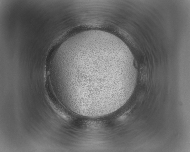 X0000073530494200608141030