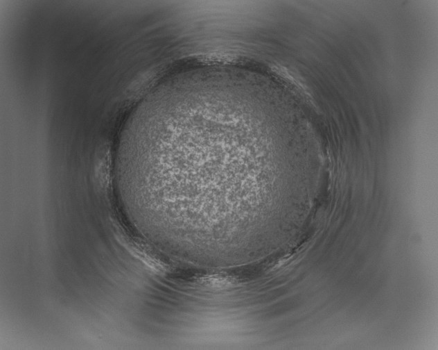 X0000073530498200608141030
