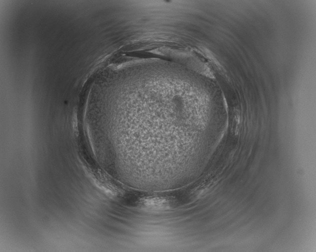 X0000073530500200608141030