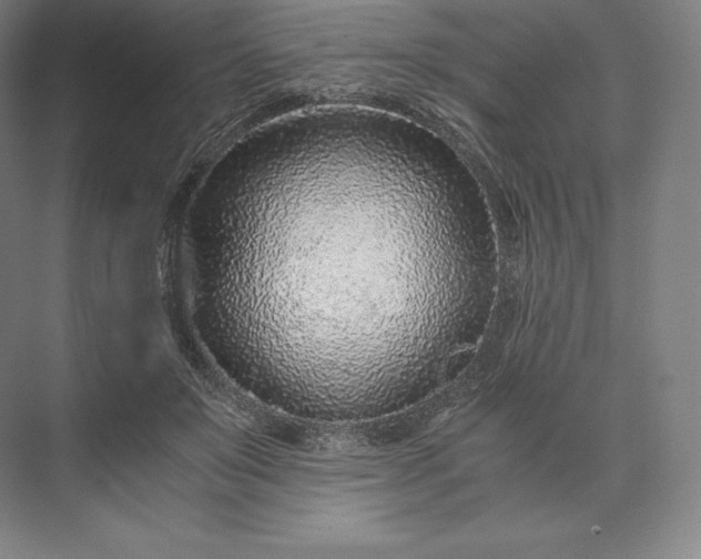 X0000073530503200608141030