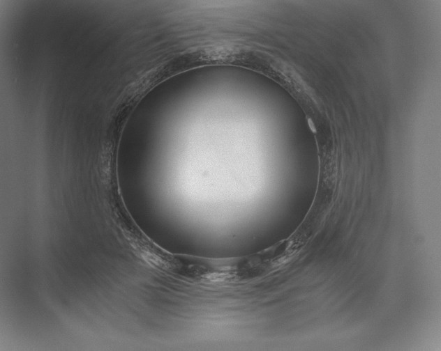X0000073530505200608141030