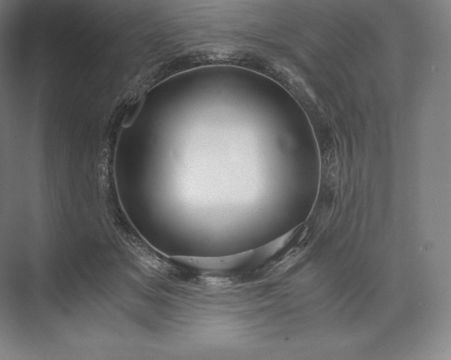 X0000073530509200608141030