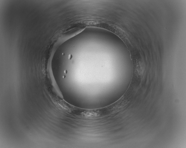 X0000073530512200608141030