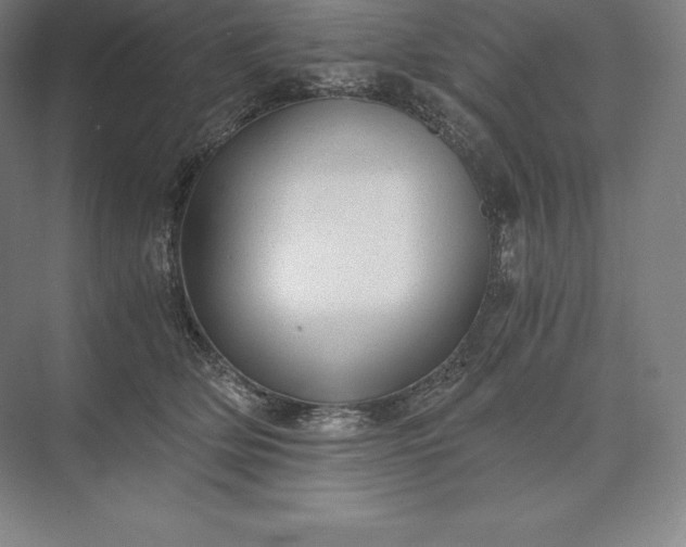 X0000073530514200608141030