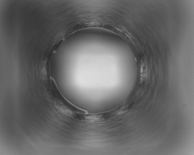 X0000073530516200608141030