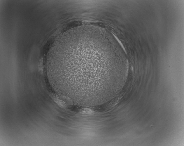 X0000073530519200608141029