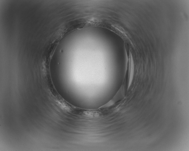 X0000073530520200608141029