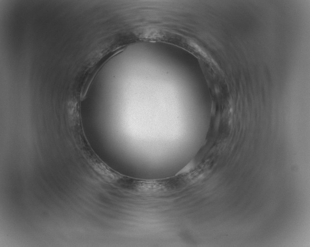 X0000073530521200608141029