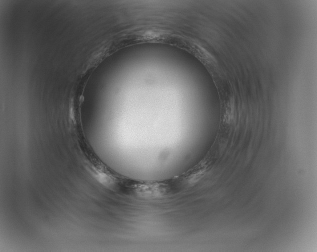 X0000073530524200608141029