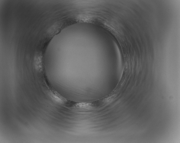 X0000073530526200608141029