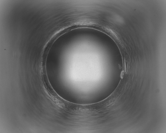 X0000073530531200608141029