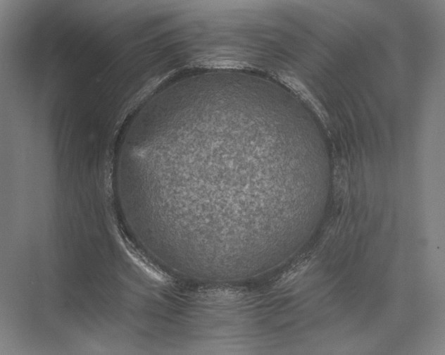 X0000073530533200608141029