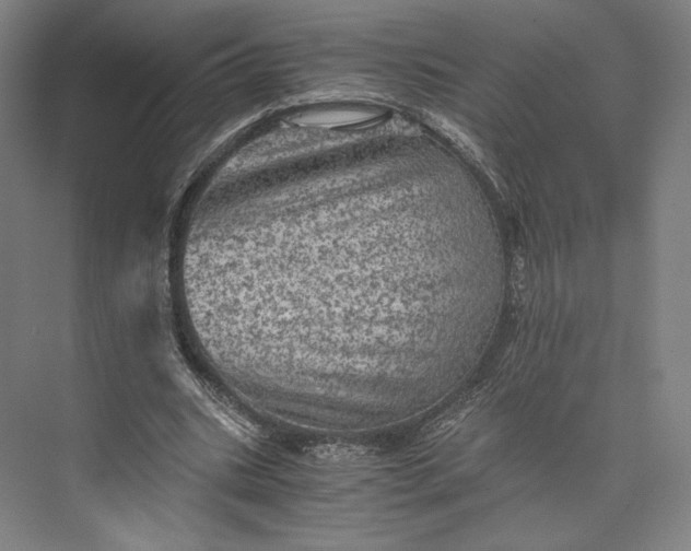 X0000073530535200608141029
