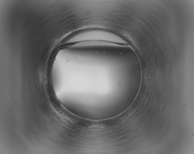 X0000073530536200608141029