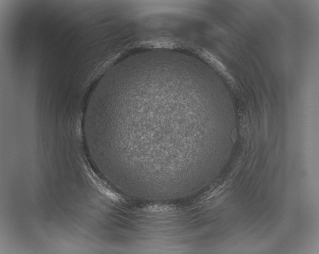 X0000073530537200608141029
