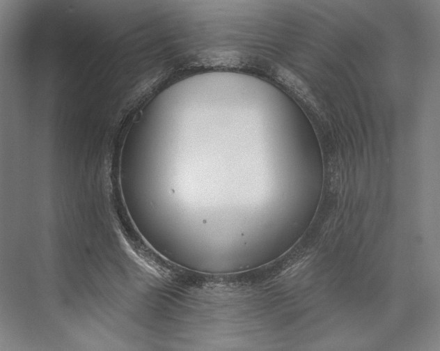 X0000073530538200608141029
