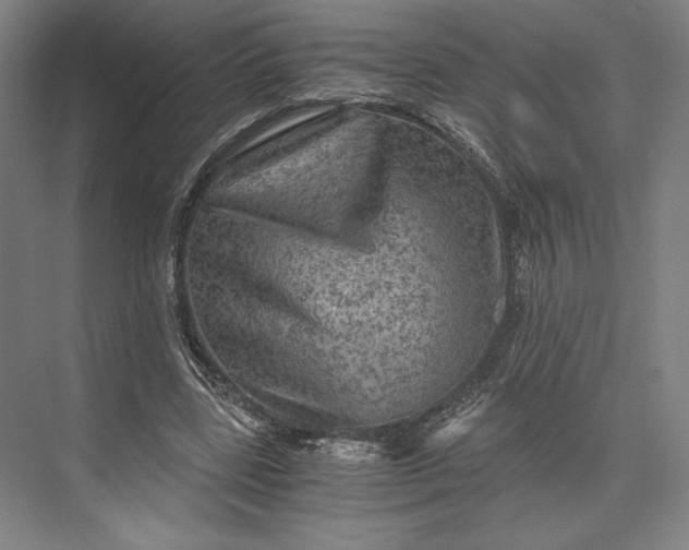 X0000073530539200608141029