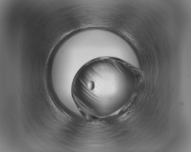 X0000073530540200608141029