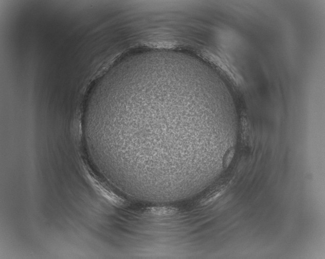 X0000073530541200608141029