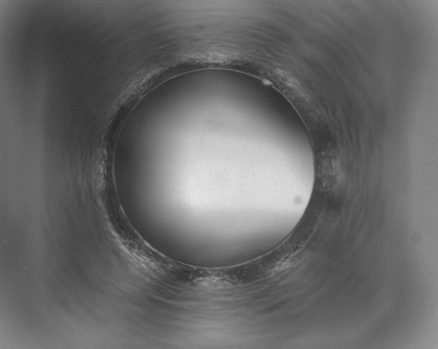 X0000073530544200608141029