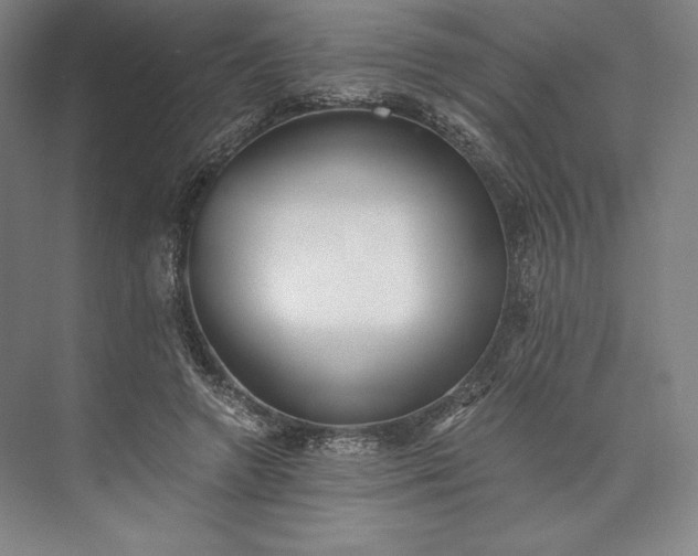X0000073530546200608141029