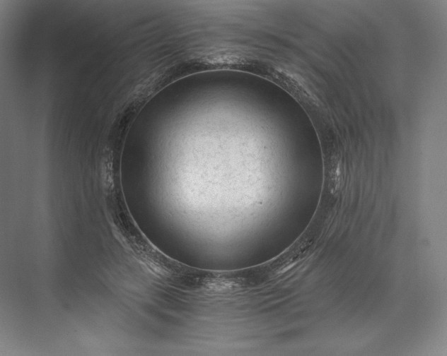 X0000073530547200608141029