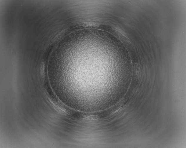 X0000073530550200608141029