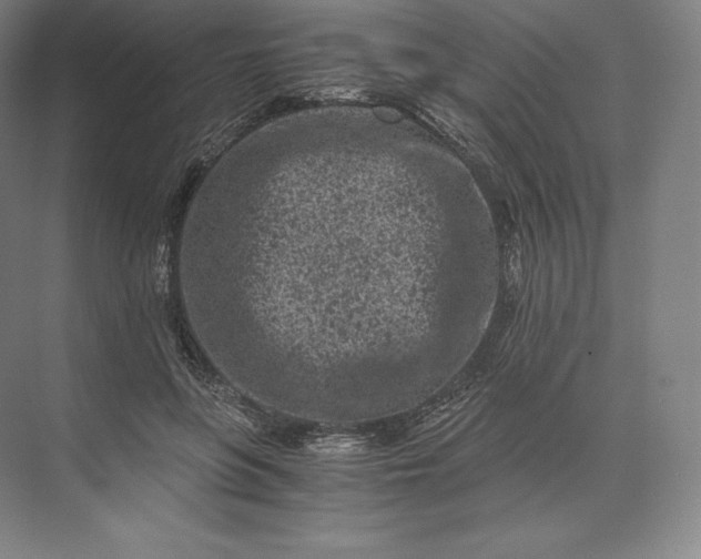 X0000073530551200608141029