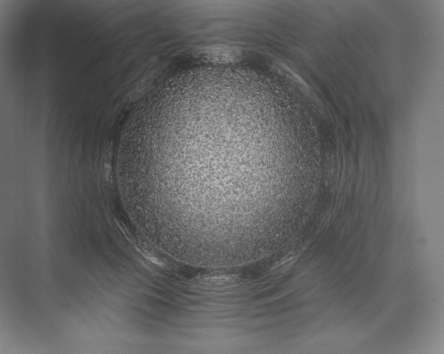X0000073530553200608141029