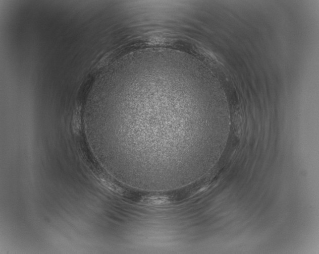 X0000073530554200608141029