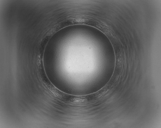 X0000073530555200608141029