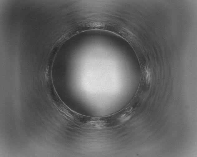 X0000073530556200608141029