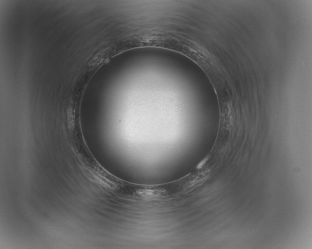 X0000073530558200608141029