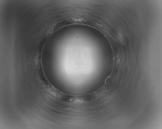 X0000073530559200608141029