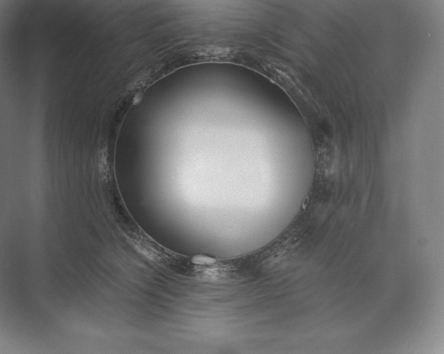 X0000073530564200608141029
