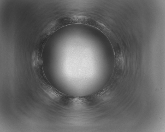 X0000073530566200608141029