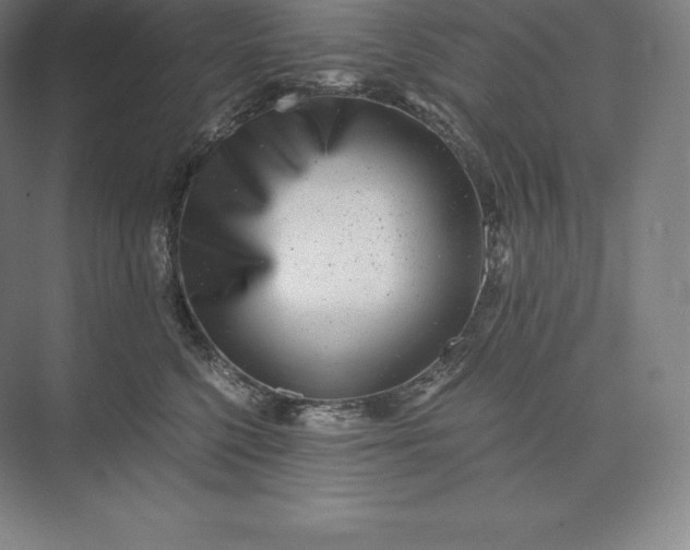 X0000073530568200608141029