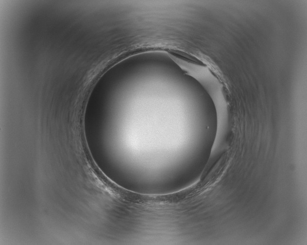 X0000073530577200608141029