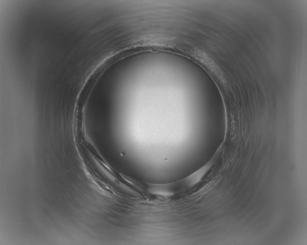X0000073530580200608141028