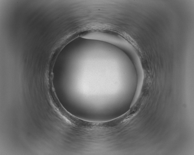 X0000073530581200608141028