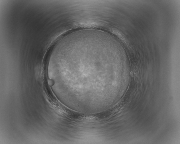 X0000073530583200608141028