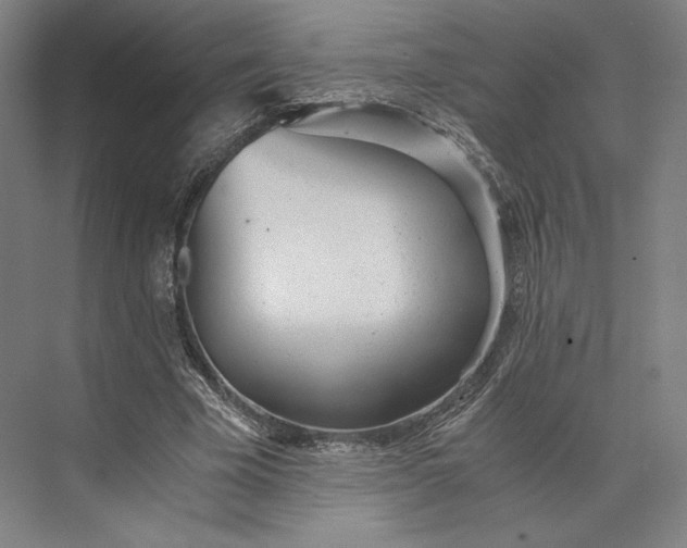 X0000073530585200608141028