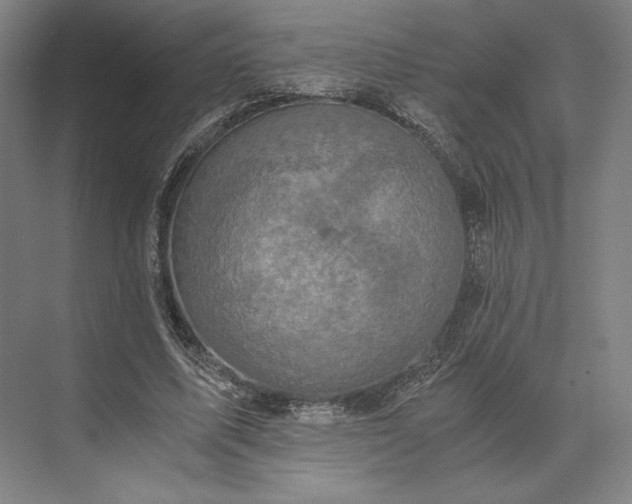 X0000073530587200608141028