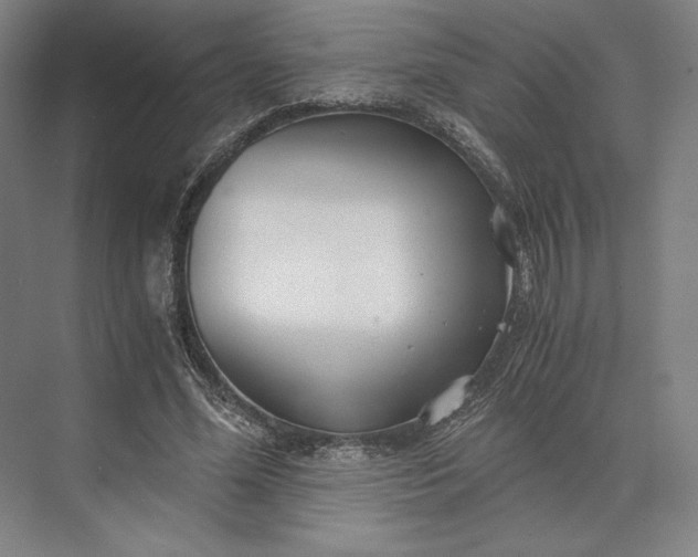 X0000073530588200608141028