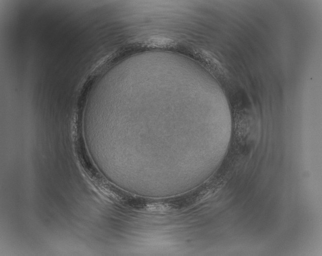 X0000073530591200608141028