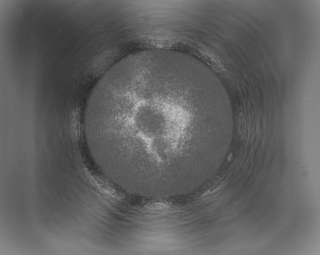 X0000073530594200608141028