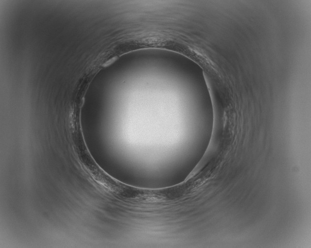 X0000073530597200608141028