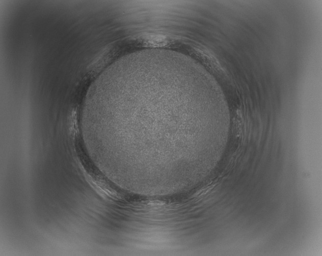 X0000073530598200608141028