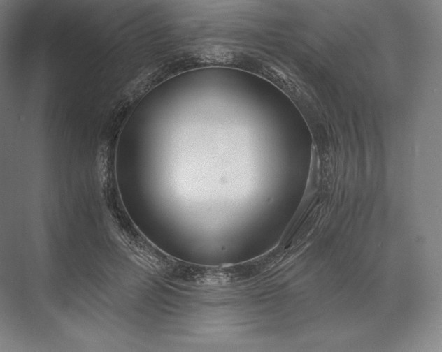 X0000073530600200608141028